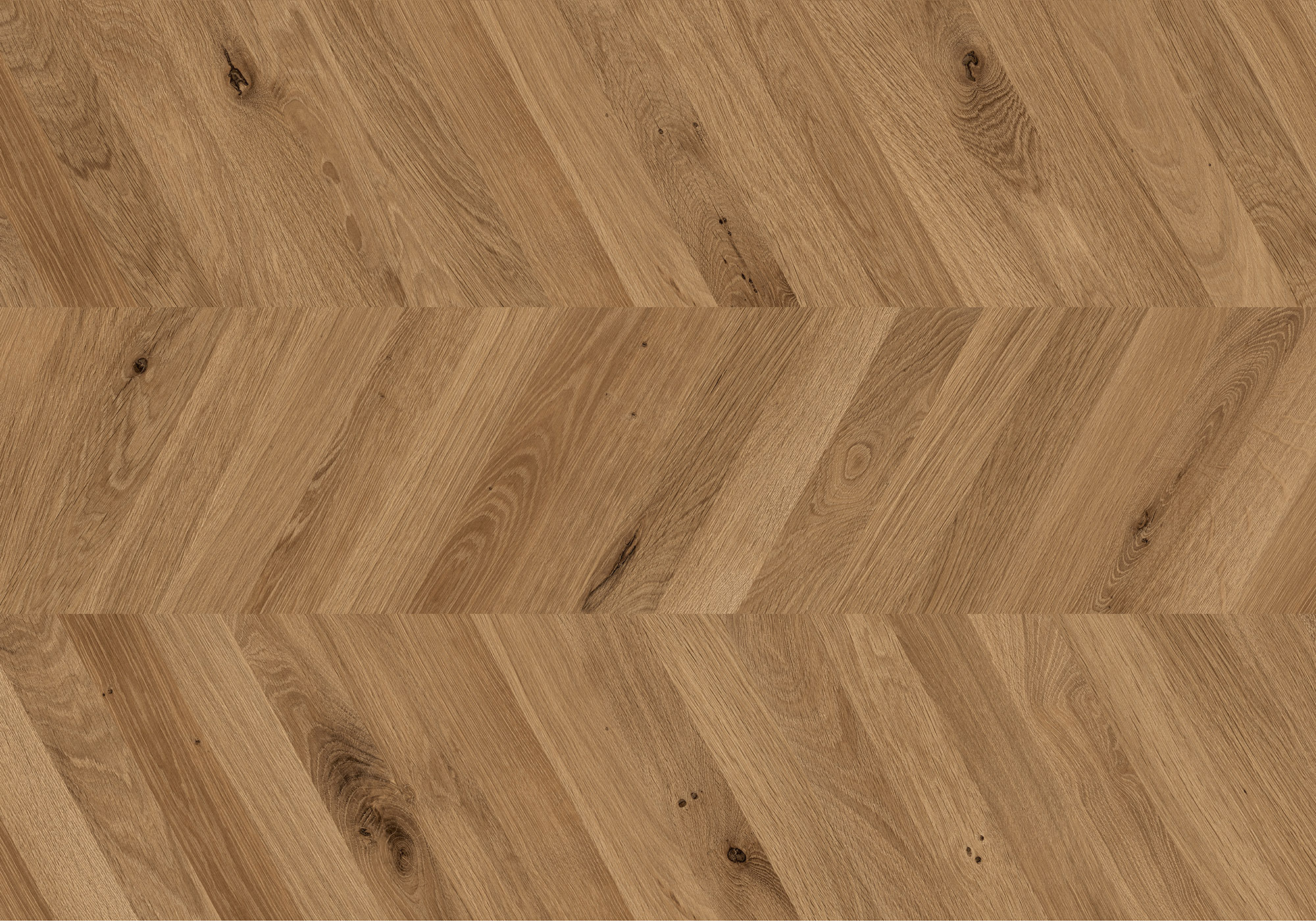 Chevron Kaya Oak Wellington | Ren-Tile (Reinassance)