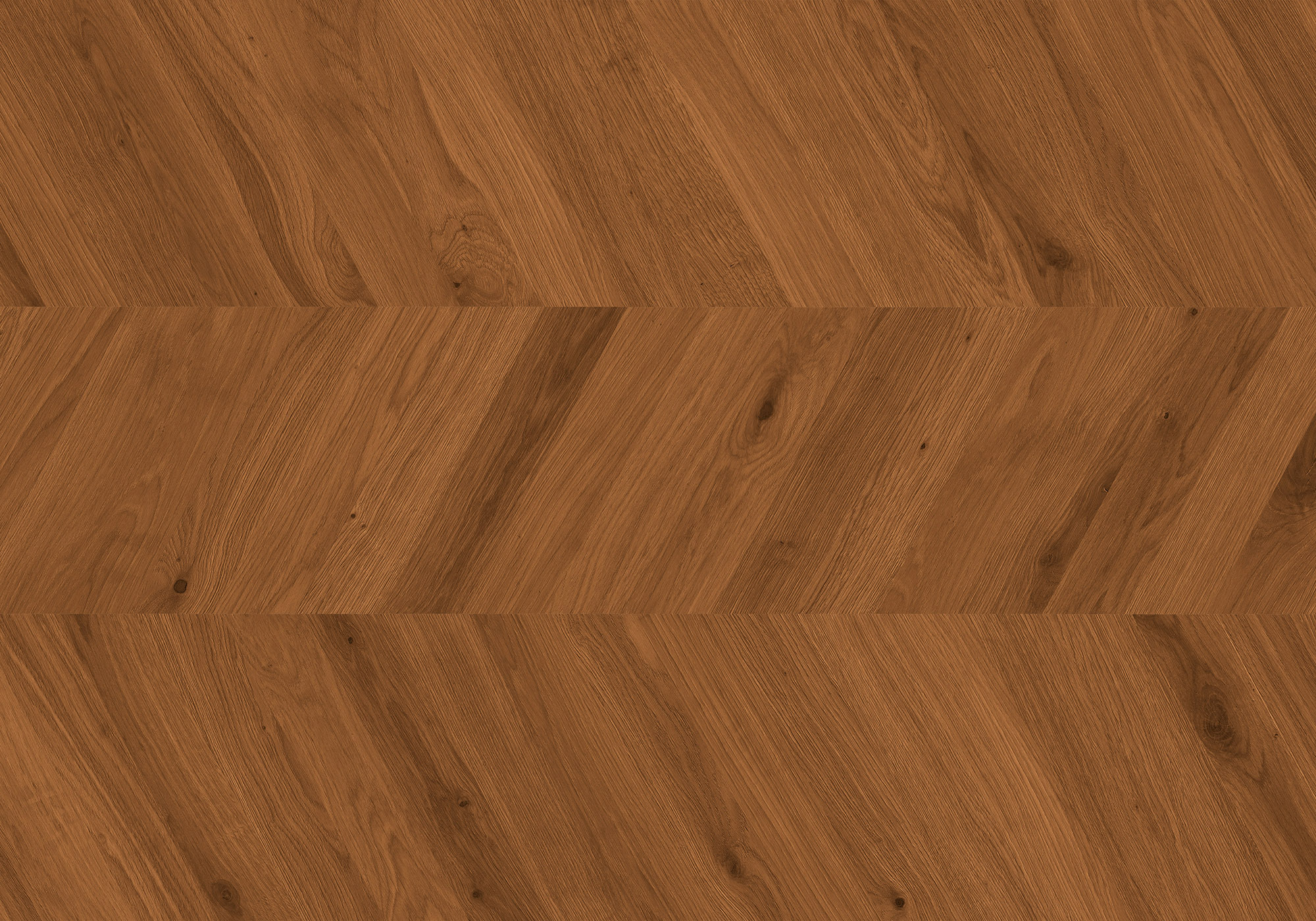 Chevron Timber Espresso | Ren-Tile (Reinassance)