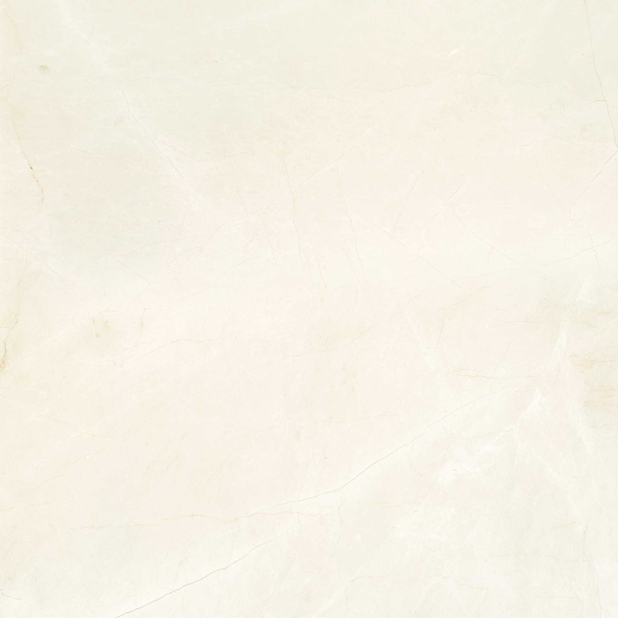 Avorio Crema 24x24 | Ren-Tile (Reinassance)