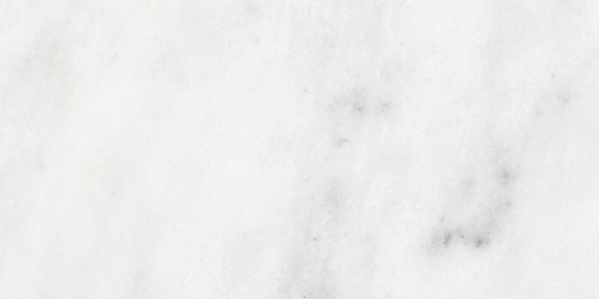 Bianco Venatino 3x6 Honed | Ren-Tile (Reinassance)