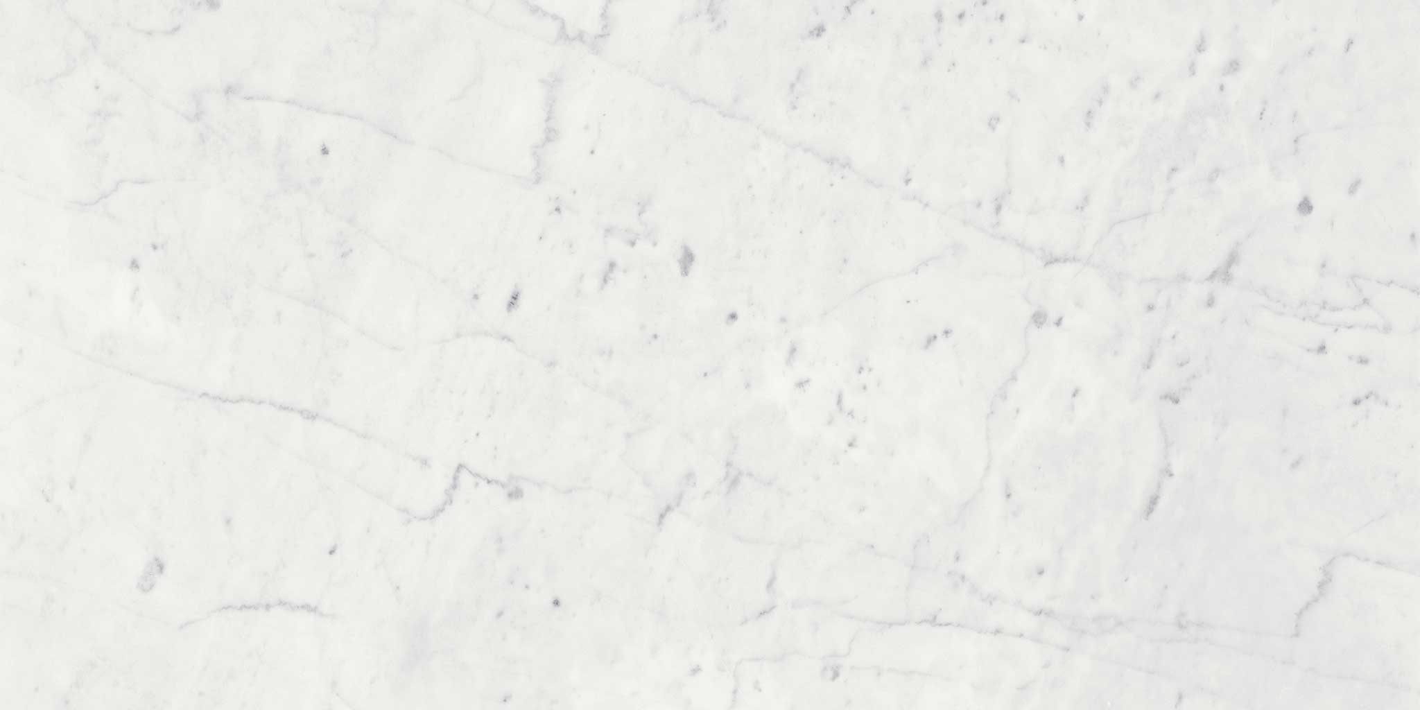 Eterna Bianco 12x24 Polished | Ren-Tile (Reinassance)