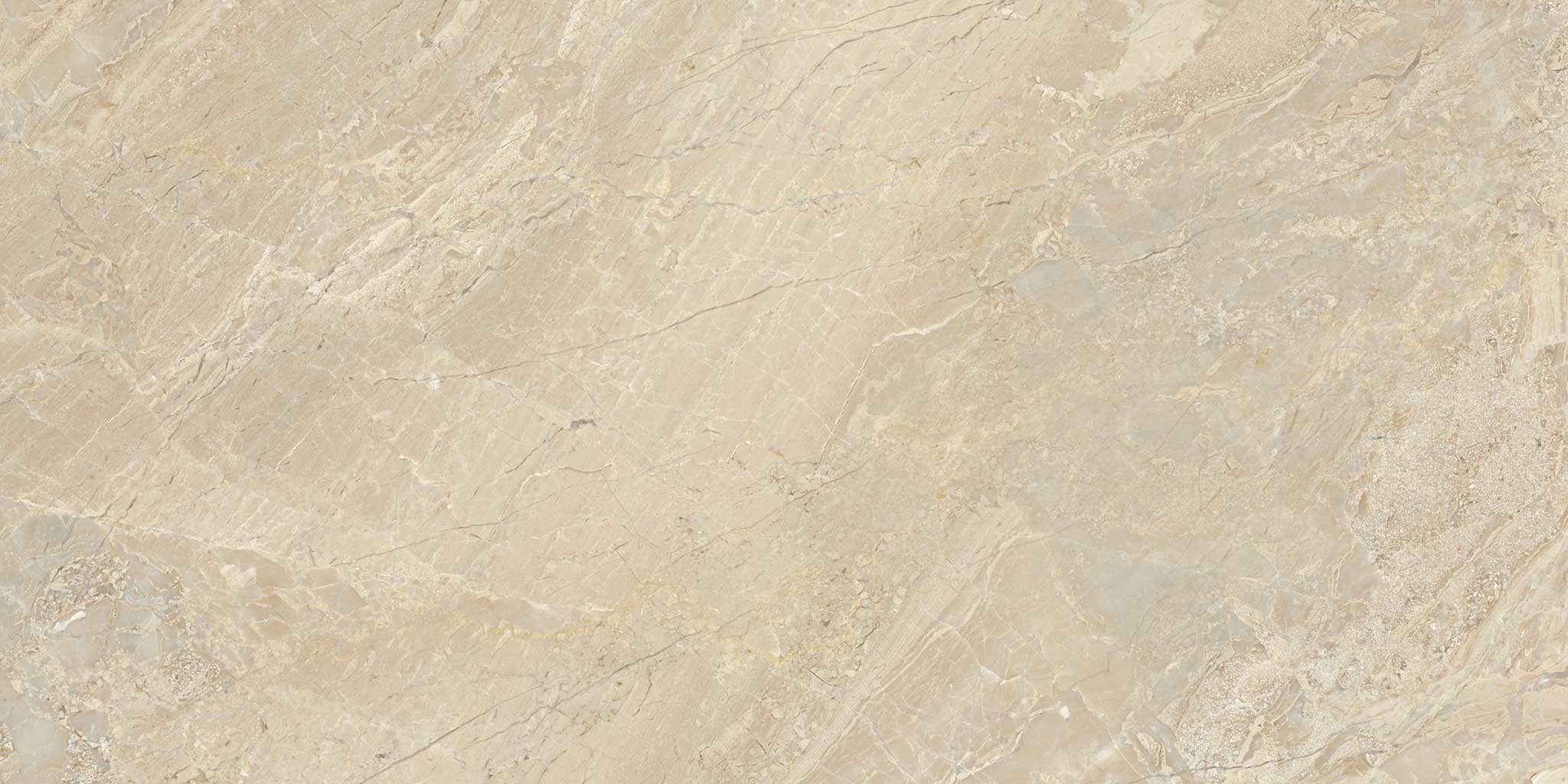 Impero Reale 12x24 Honed | Ren-Tile (Reinassance)