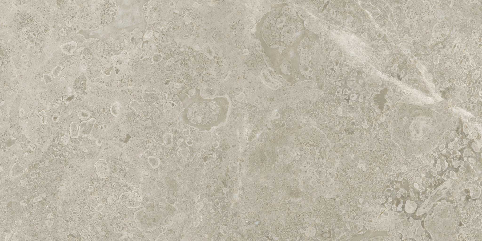 Ritz Gray 12x24 | Ren-Tile (Reinassance)