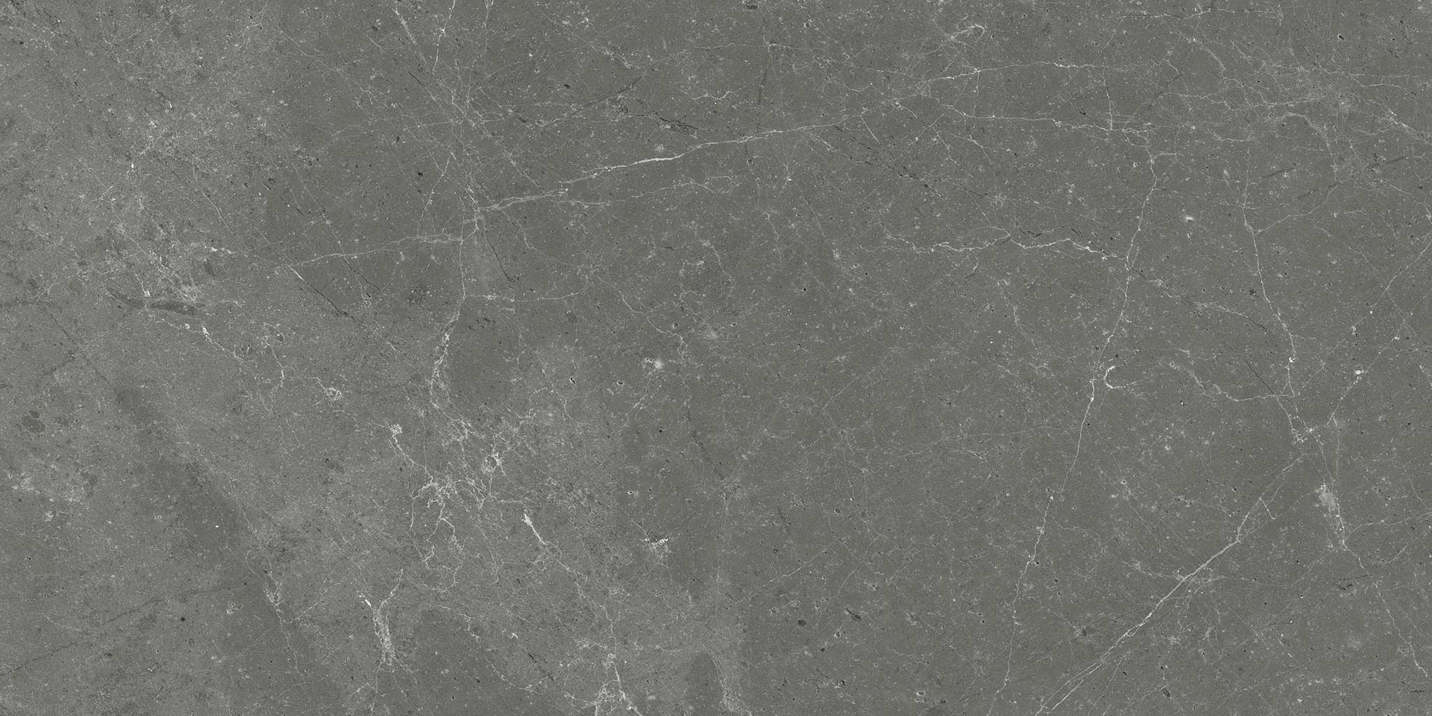 Stark Carbon 12x24 | Ren-Tile (Reinassance)