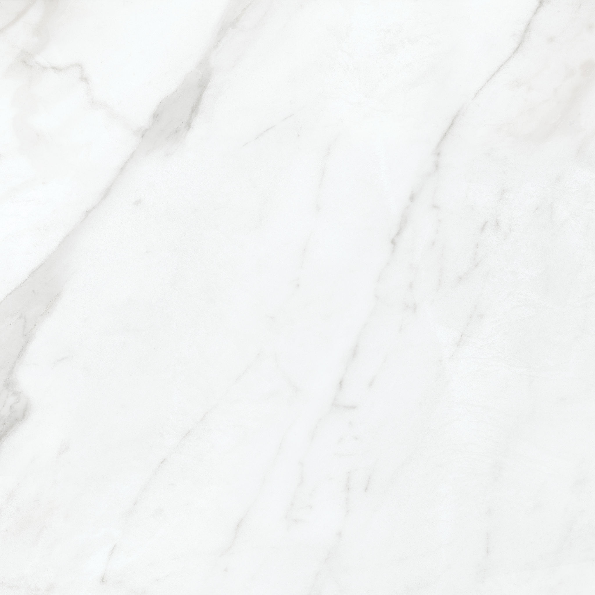 Altezza 20x20 Carrara | Ren-Tile (Reinassance)