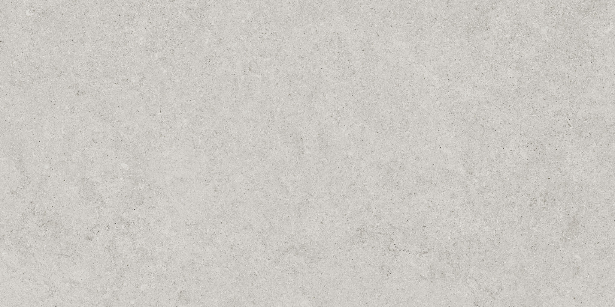 Lithoform 12X24 Crosscut Vista | Ren-Tile (Reinassance)