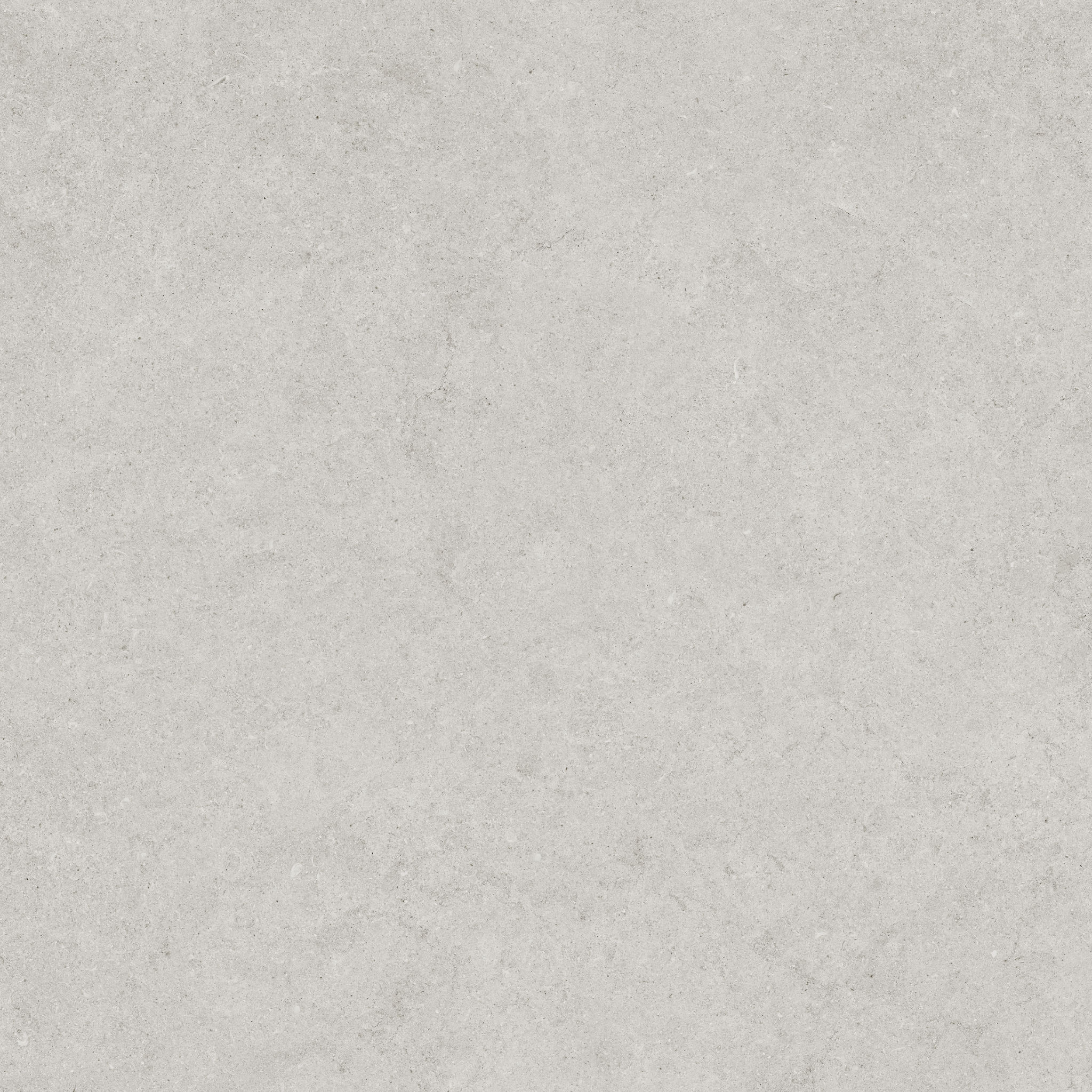 Lithoform 24X24 Crosscut Vista | Ren-Tile (Reinassance)