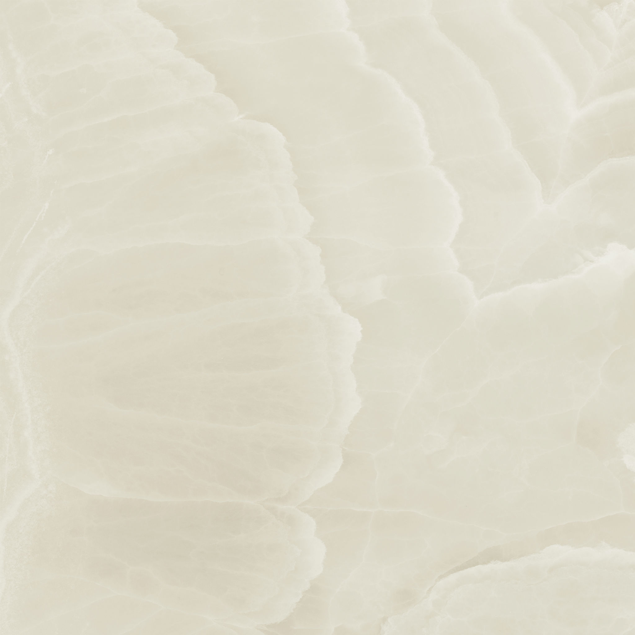 Lustra 36x36 Onyx Crema Honed | Ren-Tile (Reinassance)