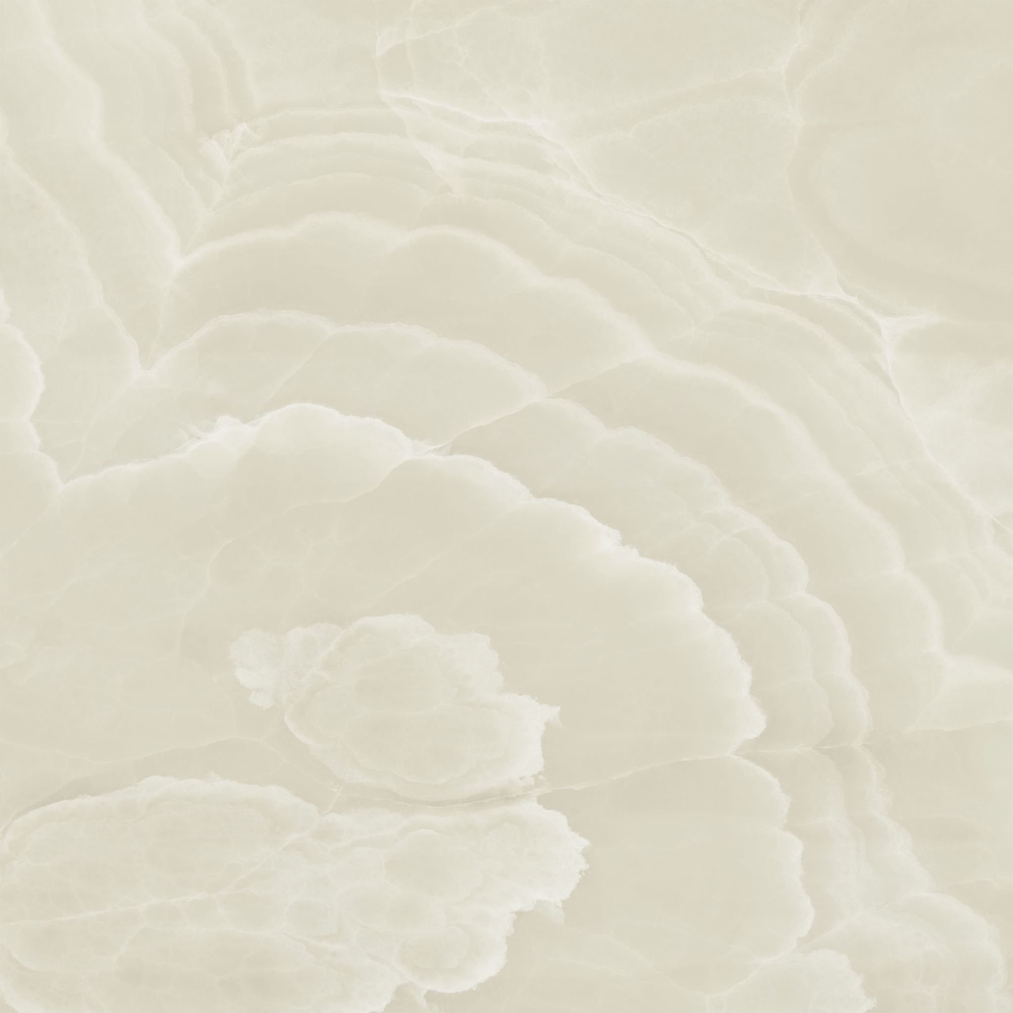 Lustra 48x48 Onyx Crema Honed | Ren-Tile (Reinassance)