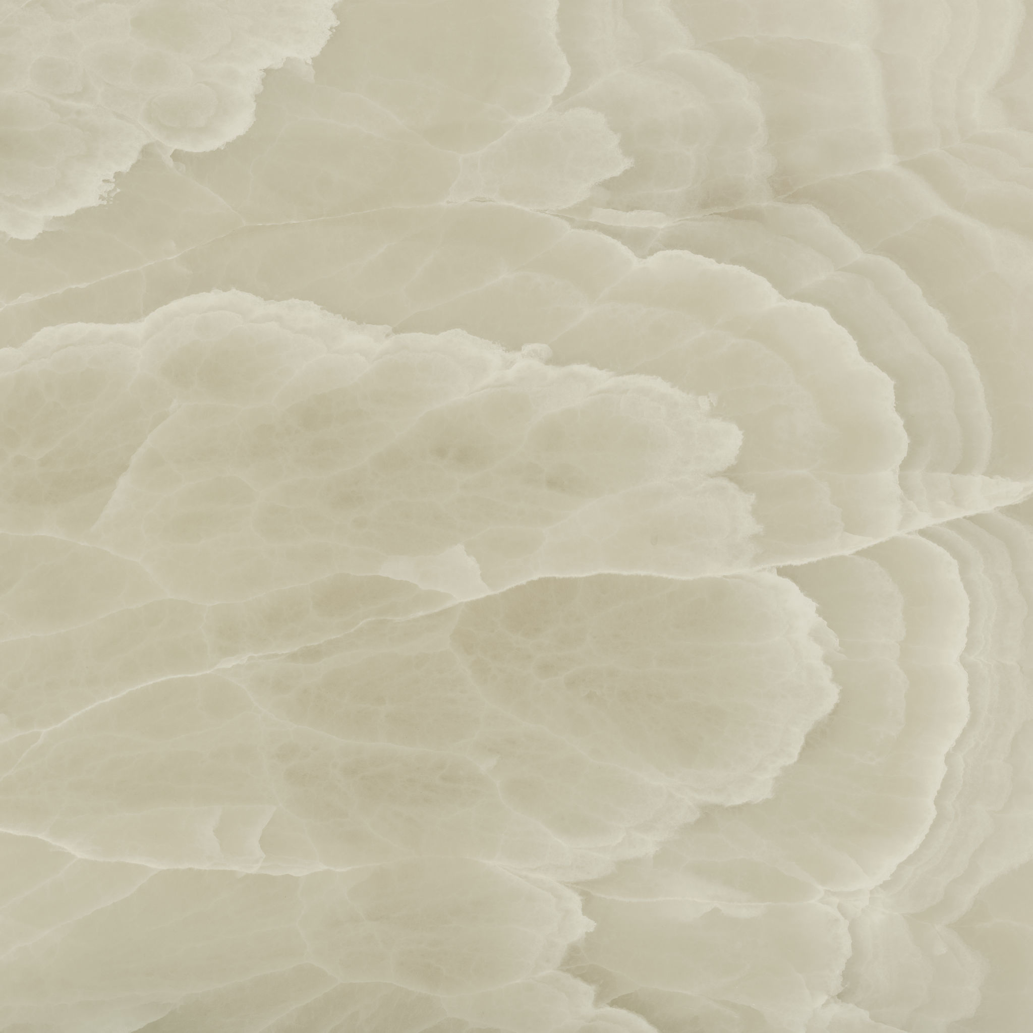 Lustra 48x48 Onyx Hazel Polished | Ren-Tile (Reinassance)