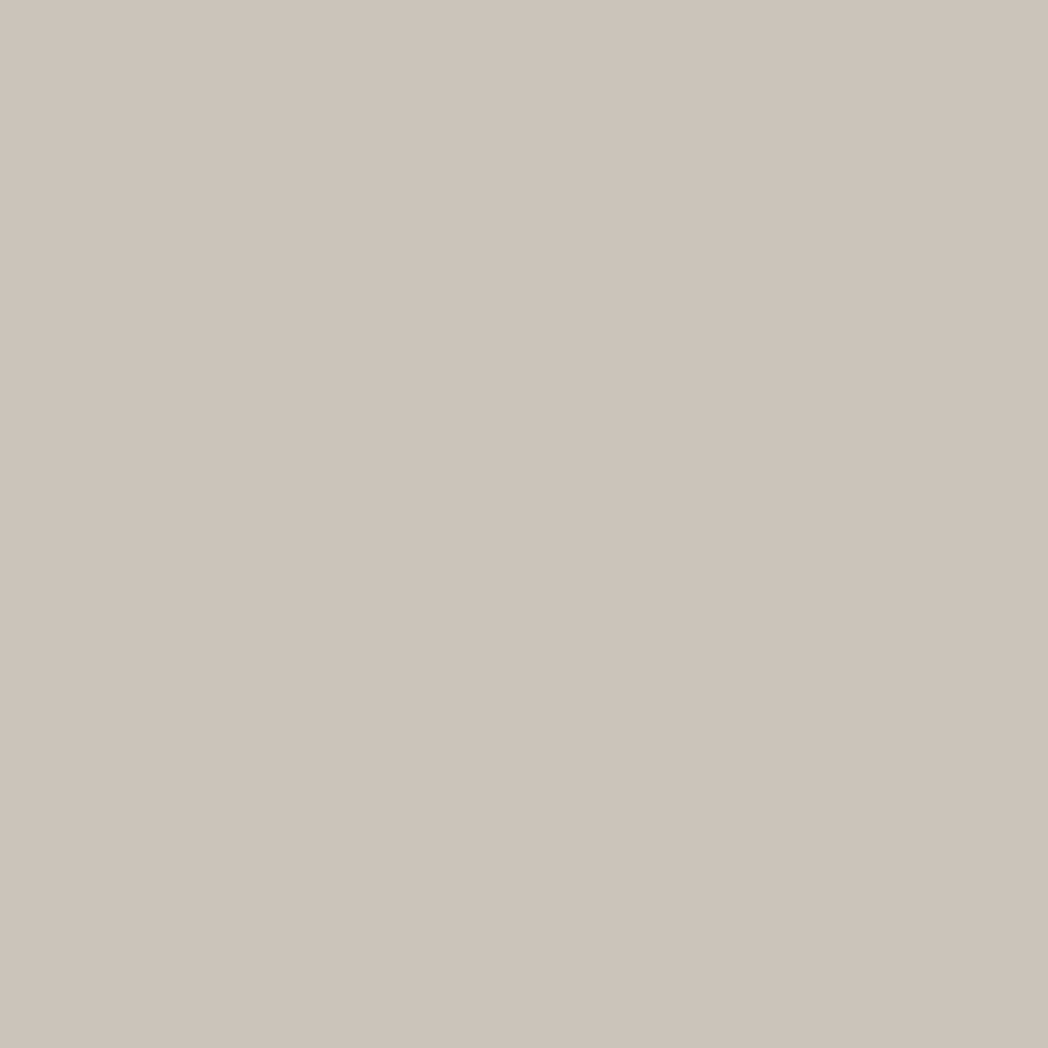 Monoforma 24x24 Storm Silk | Ren-Tile (Reinassance)