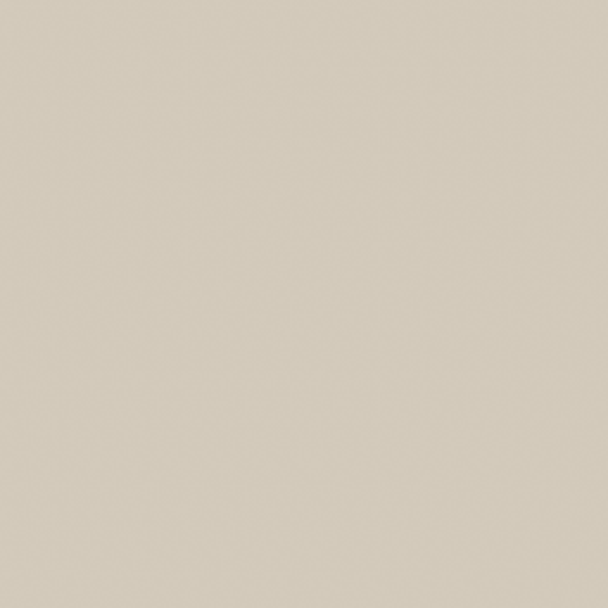 Monoforma 48x48 Oasis Silk | Ren-Tile (Reinassance)