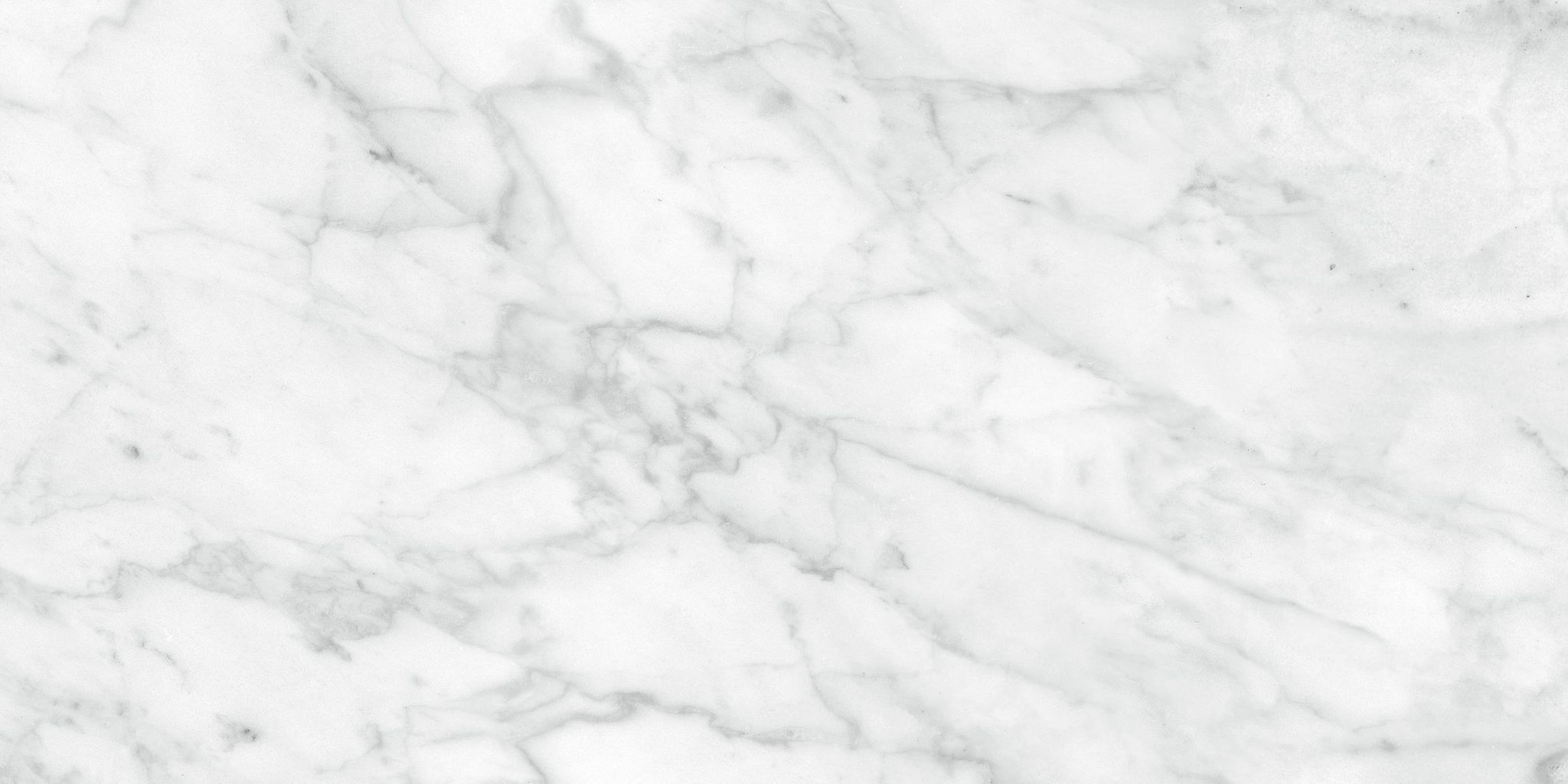 Plata 12x24 Carrara Abisso Polished | Ren-Tile (Reinassance)
