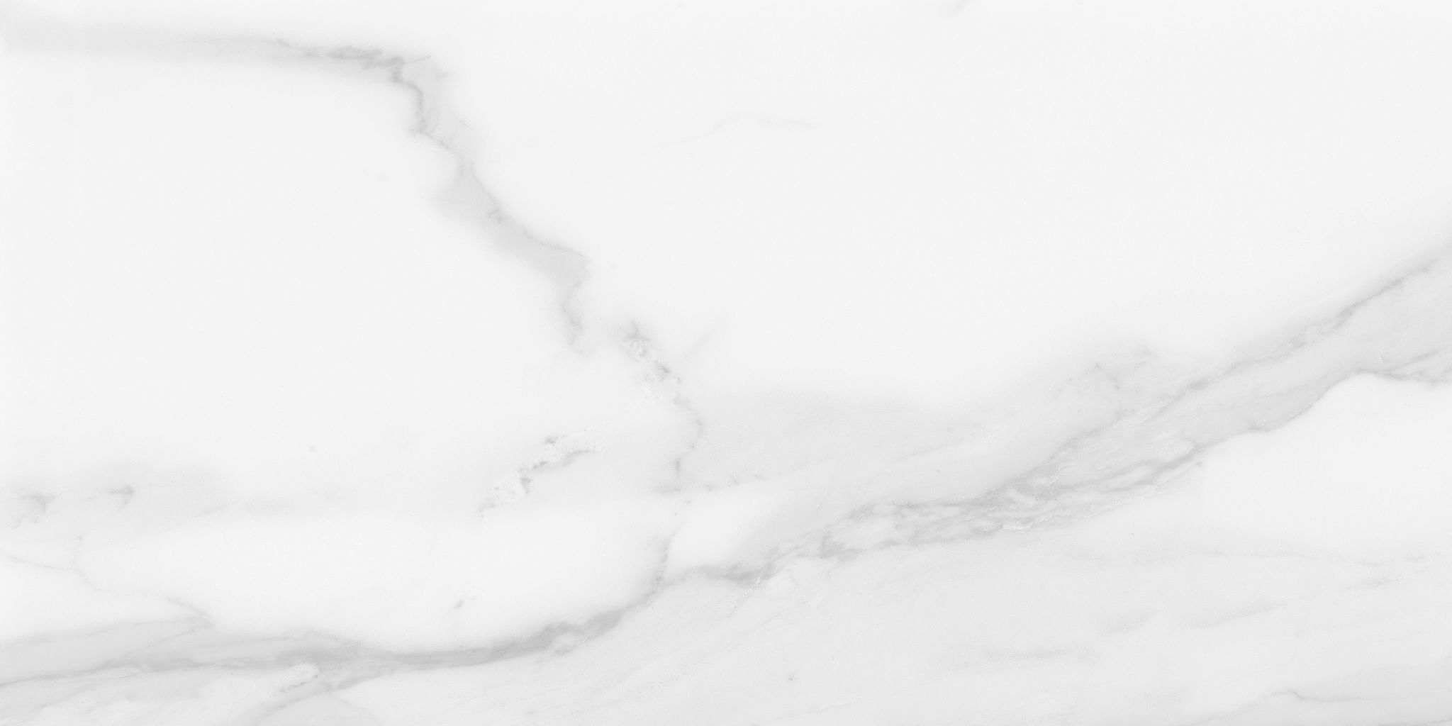 Plata 12x24 Statuario Brina Matte | Ren-Tile (Reinassance)