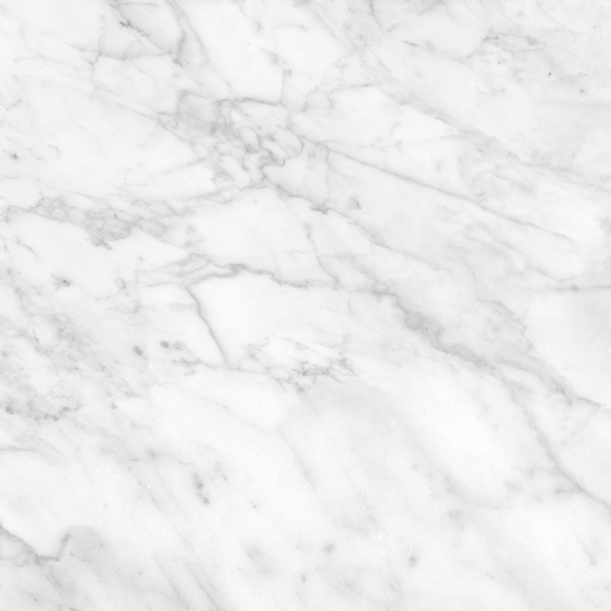 Plata 24x24 Carrara Abisso Polished | Ren-Tile (Reinassance)