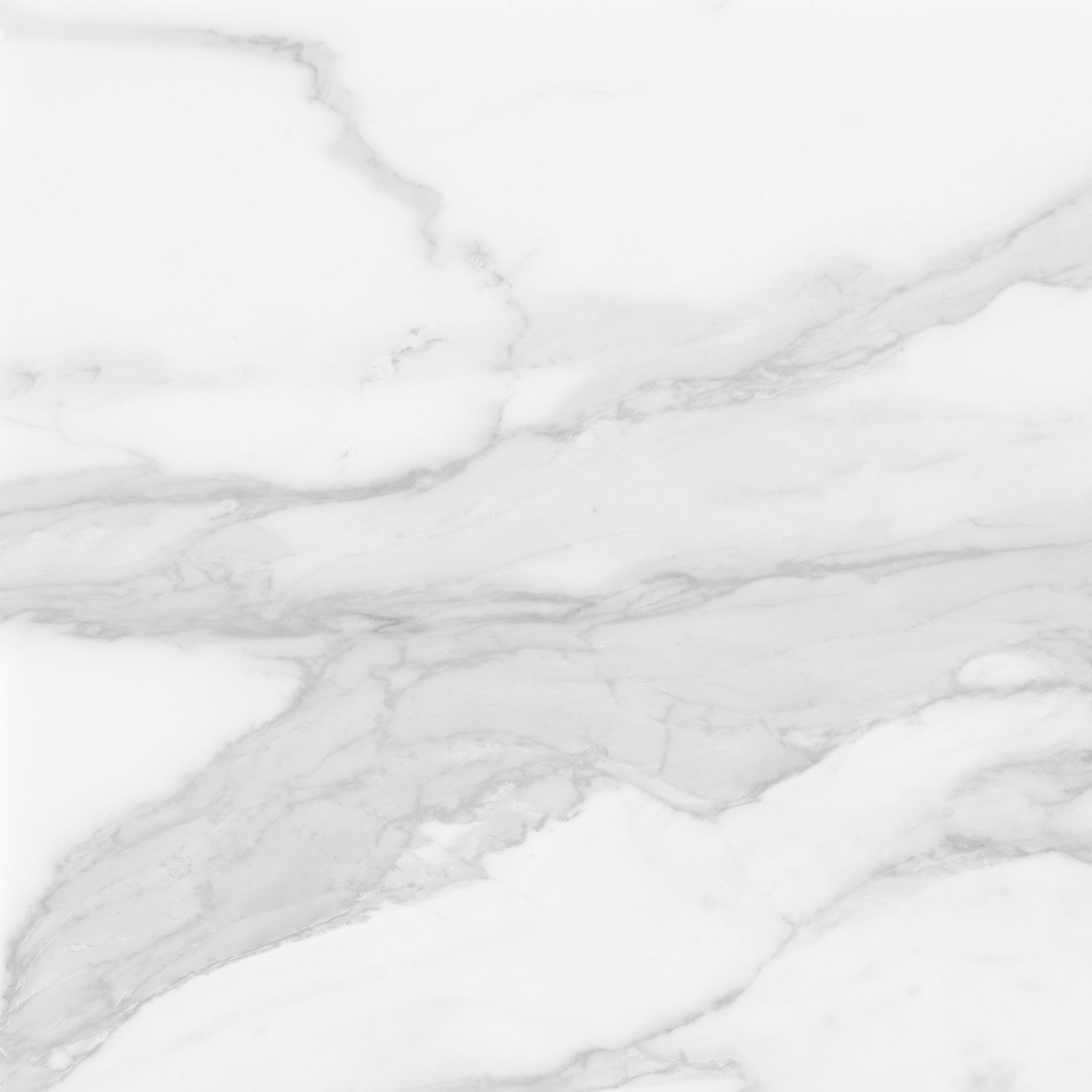 Plata 24x24 Statuario Brina Polished | Ren-Tile (Reinassance)