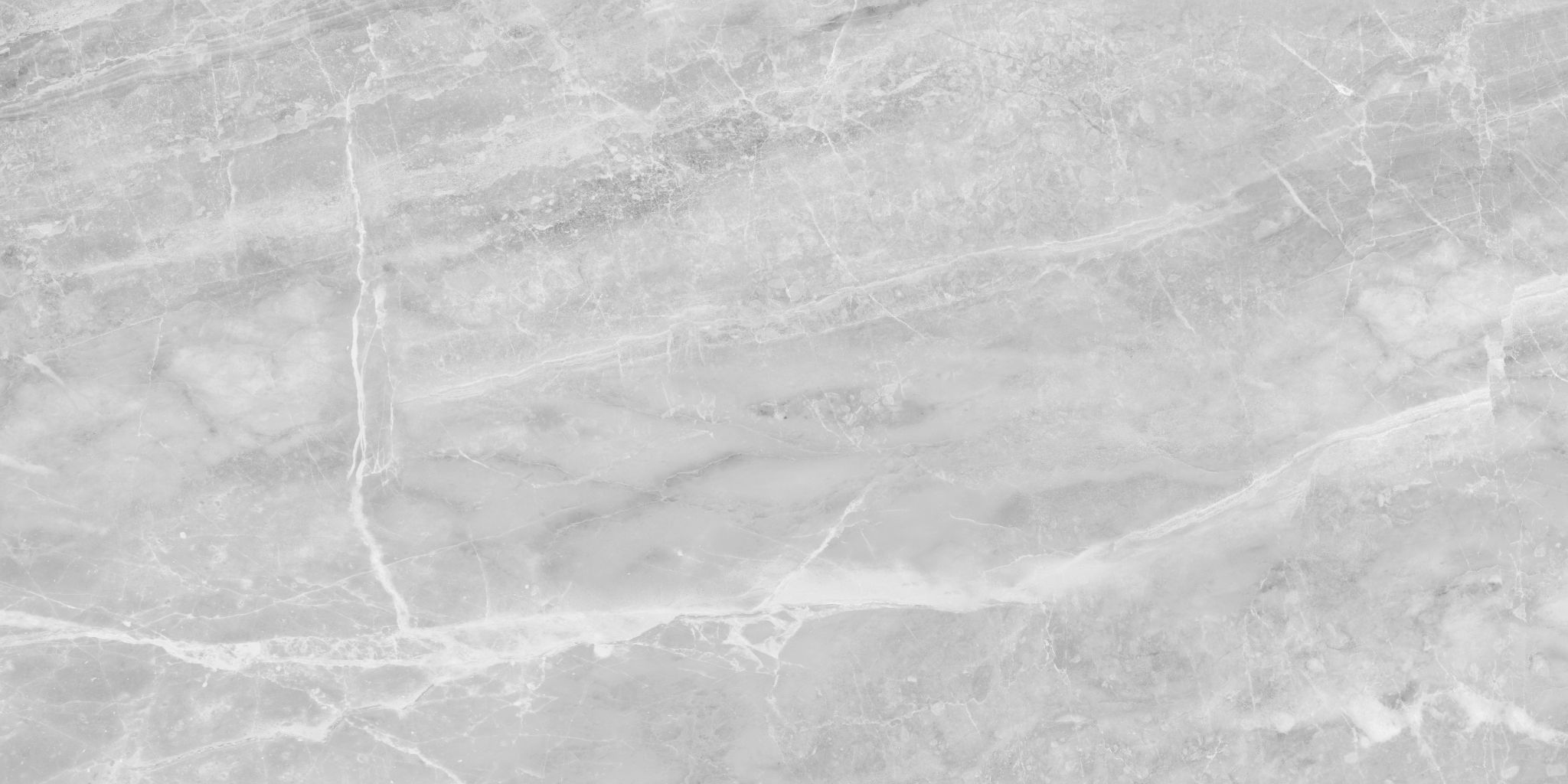 Plata 24x48 Perla Grigia Matte | Ren-Tile (Reinassance)