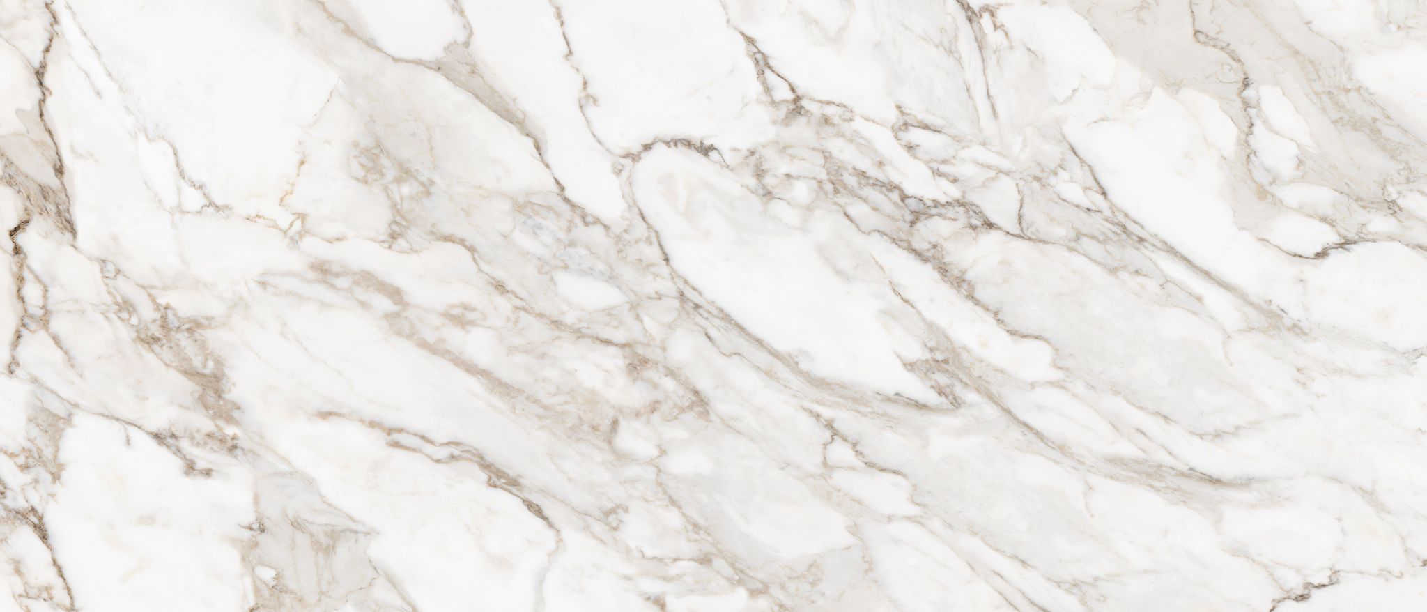 Royal Stoneworks 48X110 Calacatta Royale Honed | Ren-Tile (Reinassance)