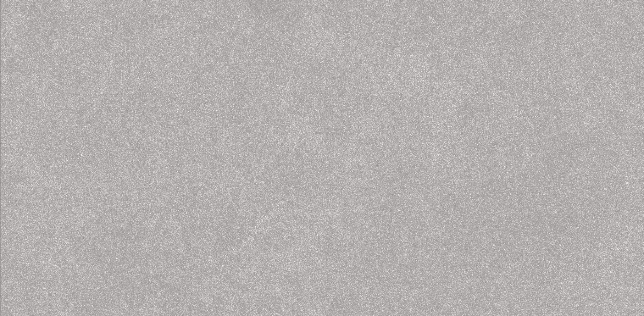 Serena 24X48 Shale | Ren-Tile (Reinassance)