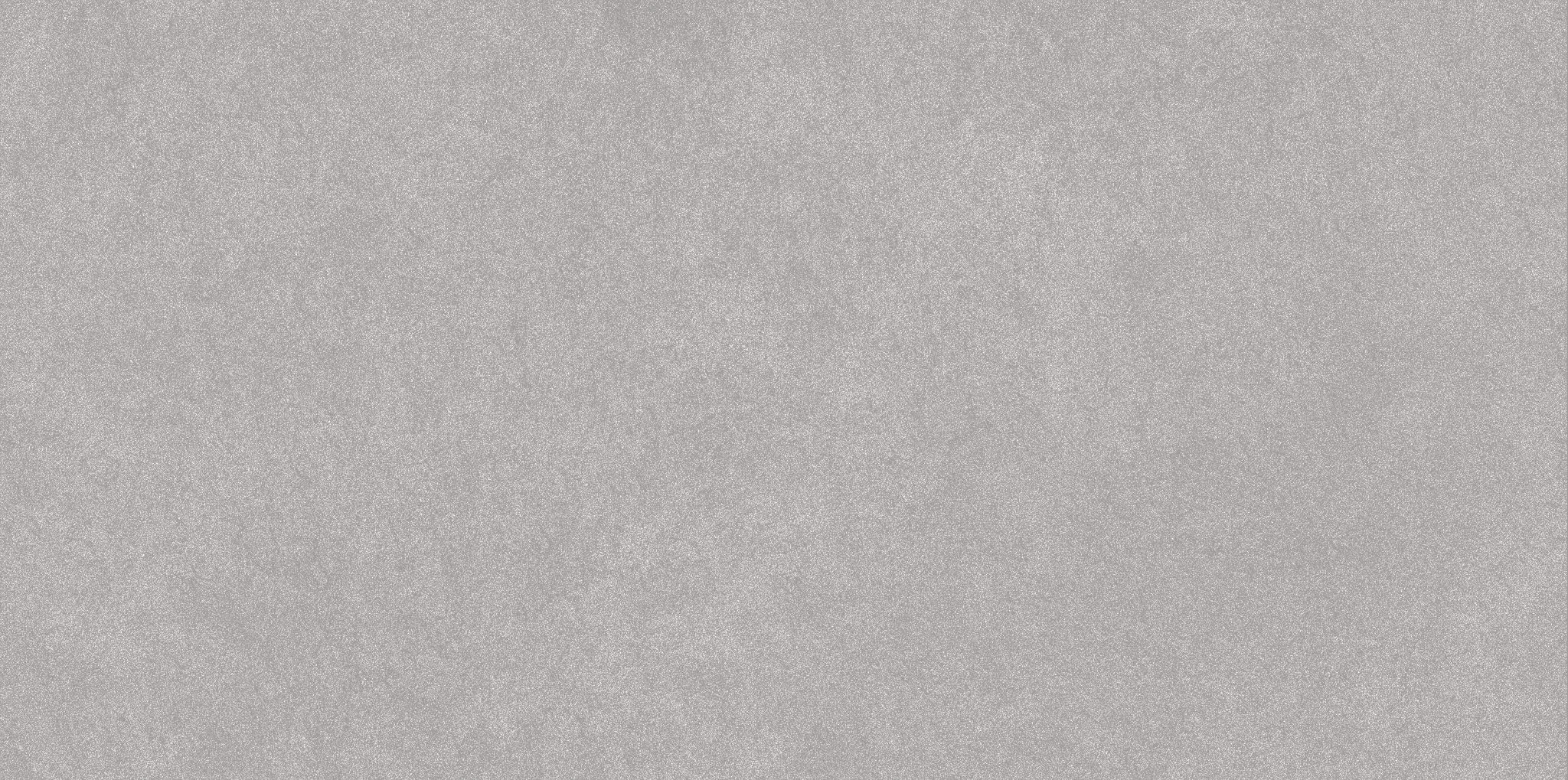 Serena 24X48 Shale | Ren-Tile (Reinassance)