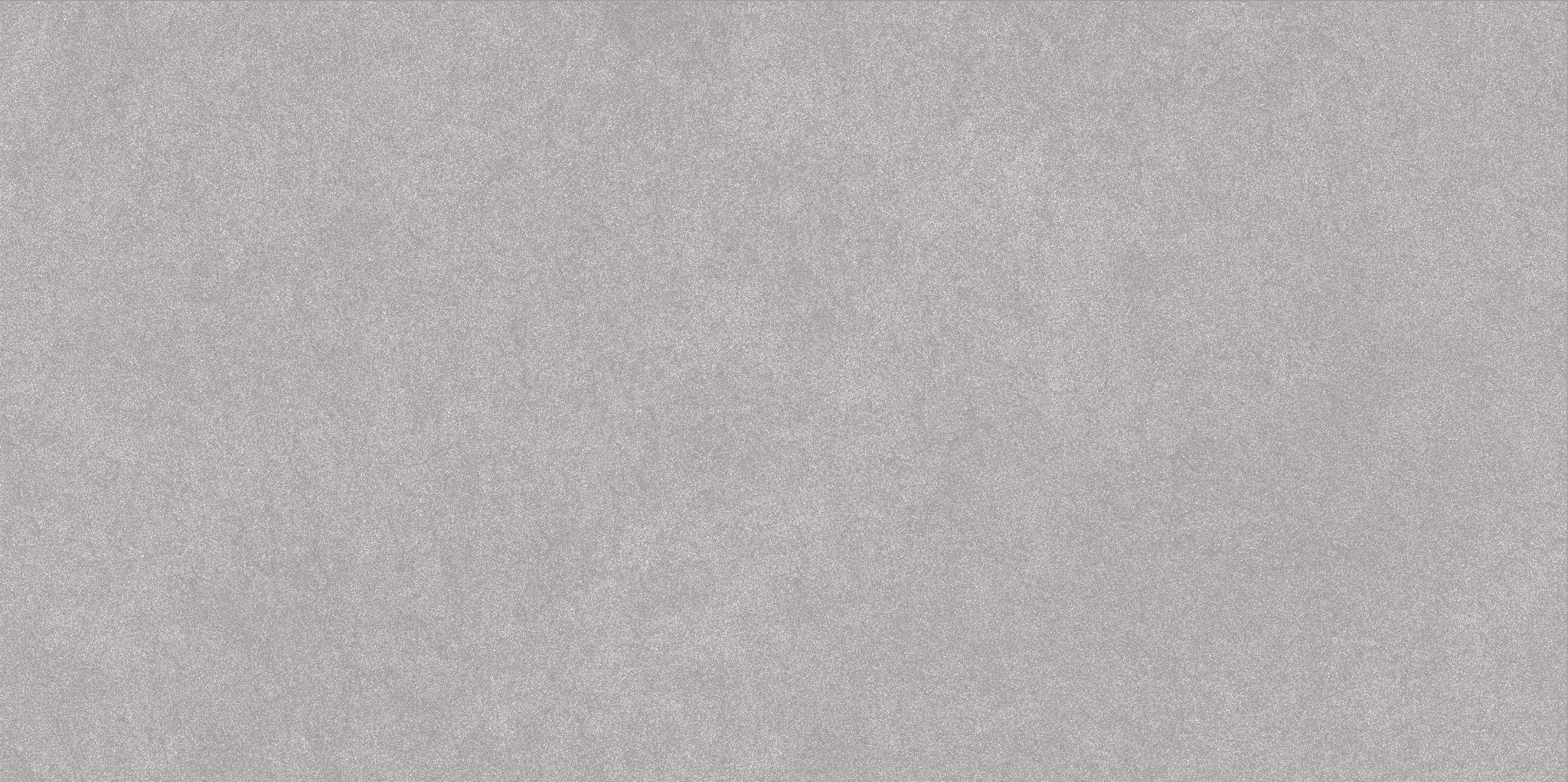 Serena 24X48 Shale | Ren-Tile (Reinassance)