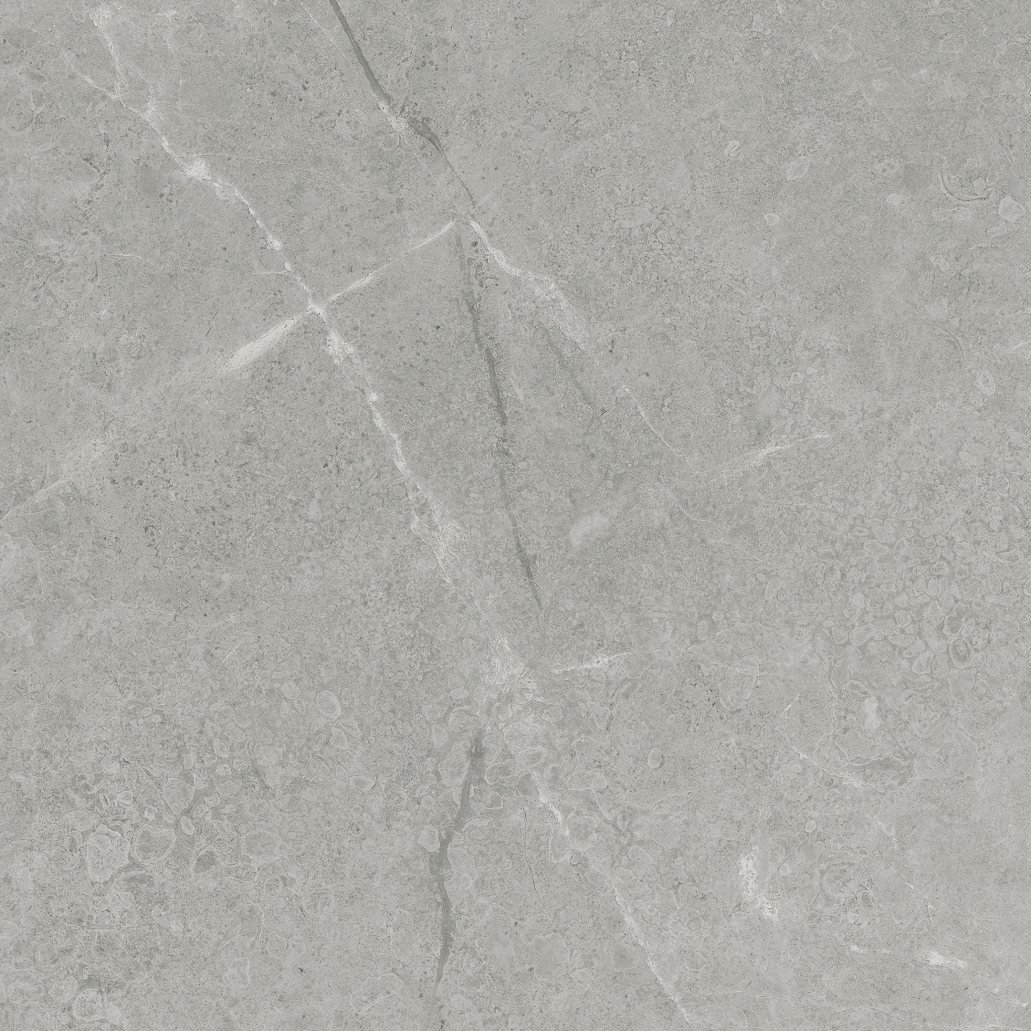 Torino 13x13 Argento | Ren-Tile (Reinassance)