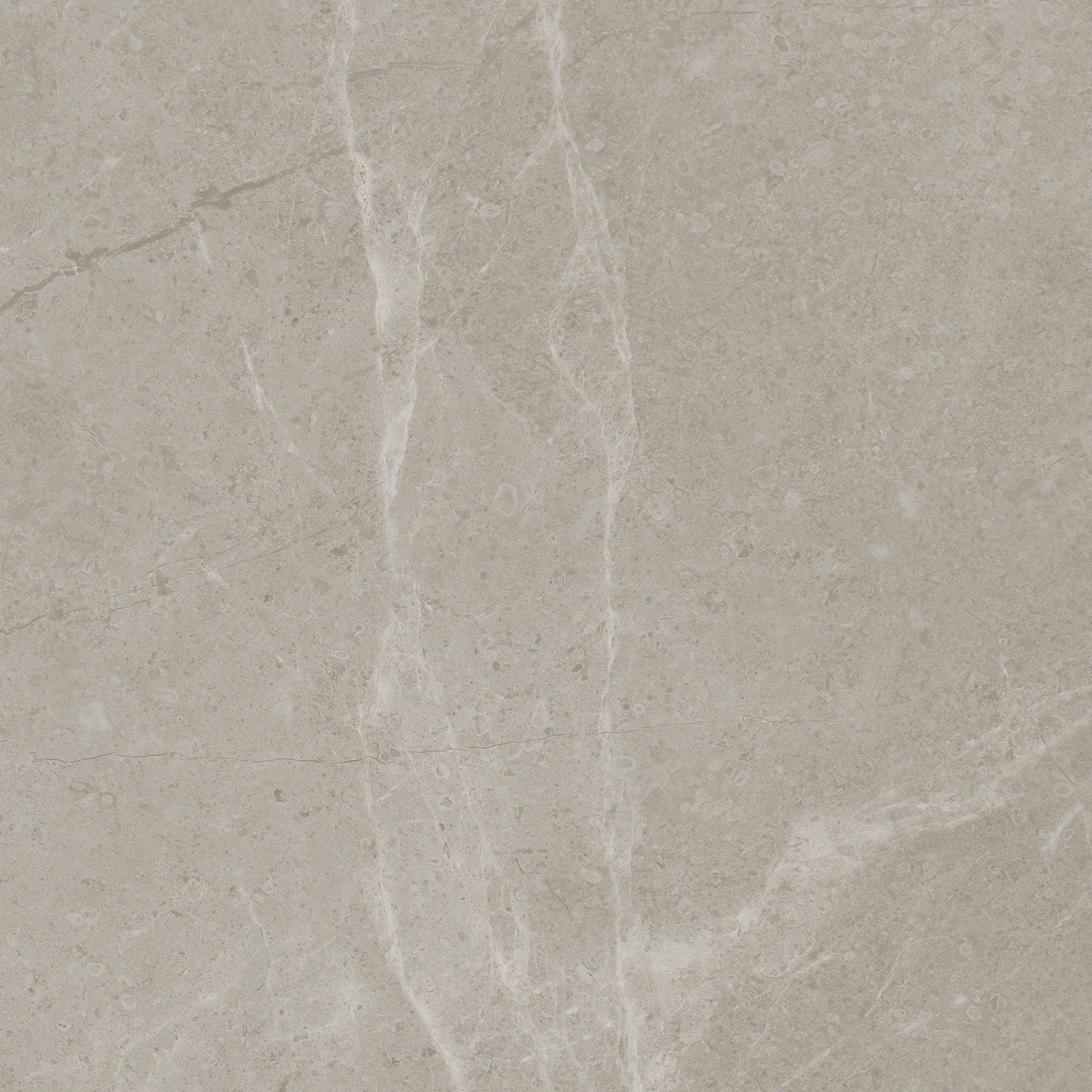 Torino 13x13 Vanizio | Ren-Tile (Reinassance)