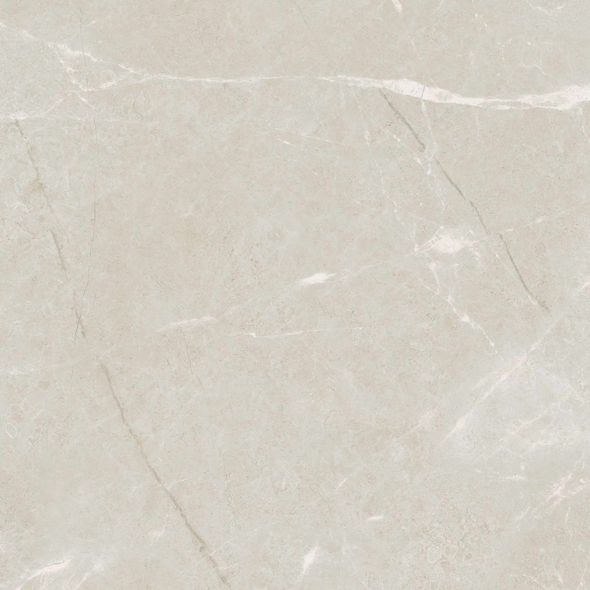Torino 20x20 Avorio | Ren-Tile (Reinassance)