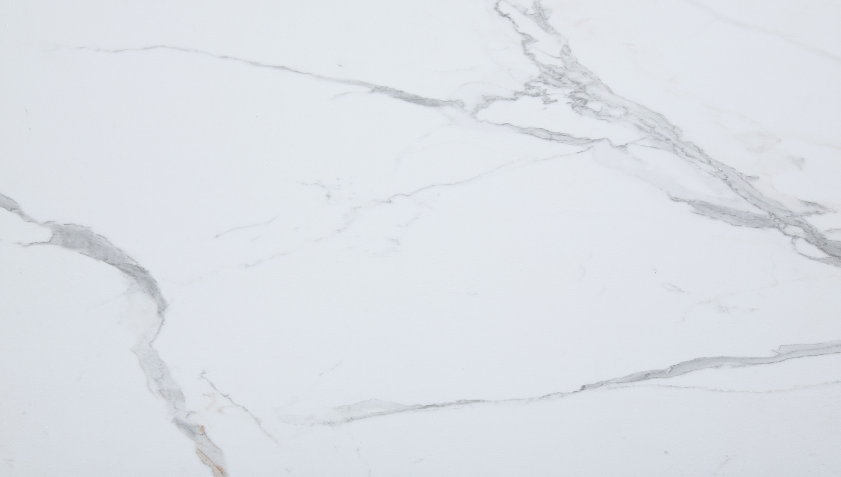 Carrara Marble Wall Tile 25x15 | Ren-Tile (Reinassance)