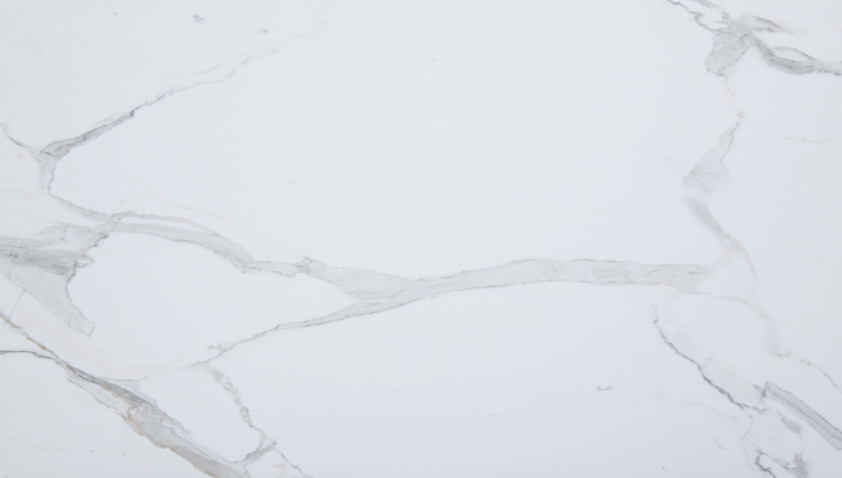 Carrara Marble Wall Tile 25x15 | Ren-Tile (Reinassance)