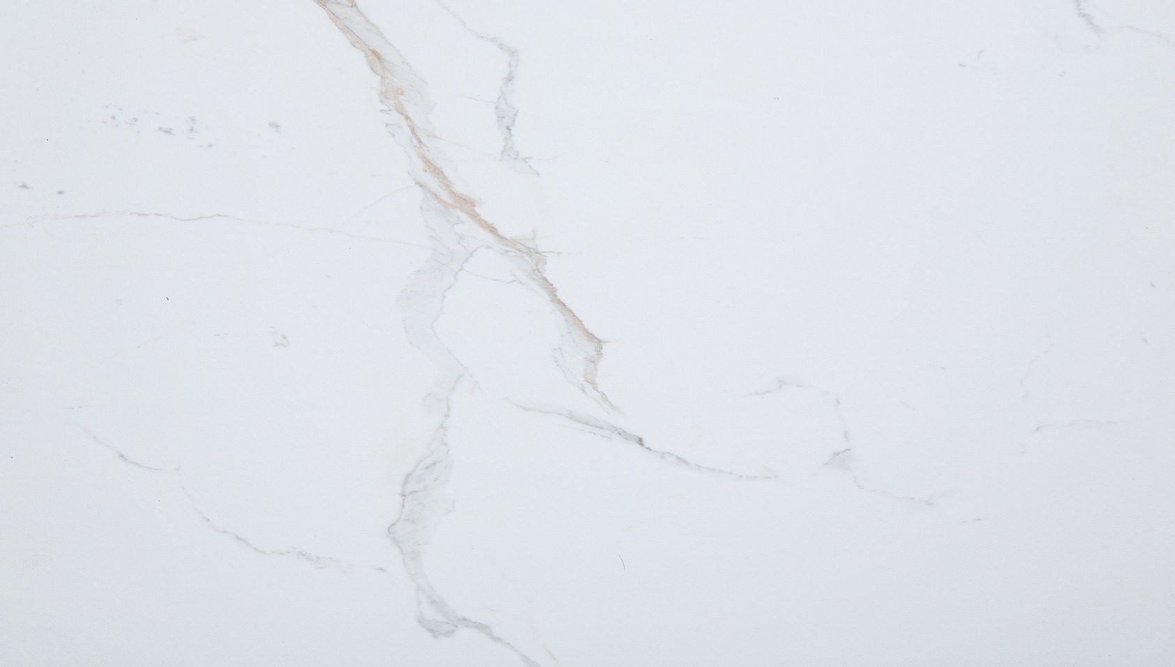 Carrara Marble Wall Tile 25x15 | Ren-Tile (Reinassance)