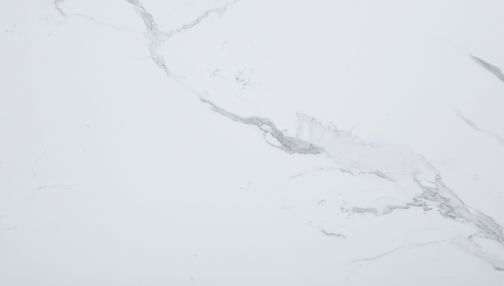 Carrara Marble Wall Tile 25x15 | Ren-Tile (Reinassance)