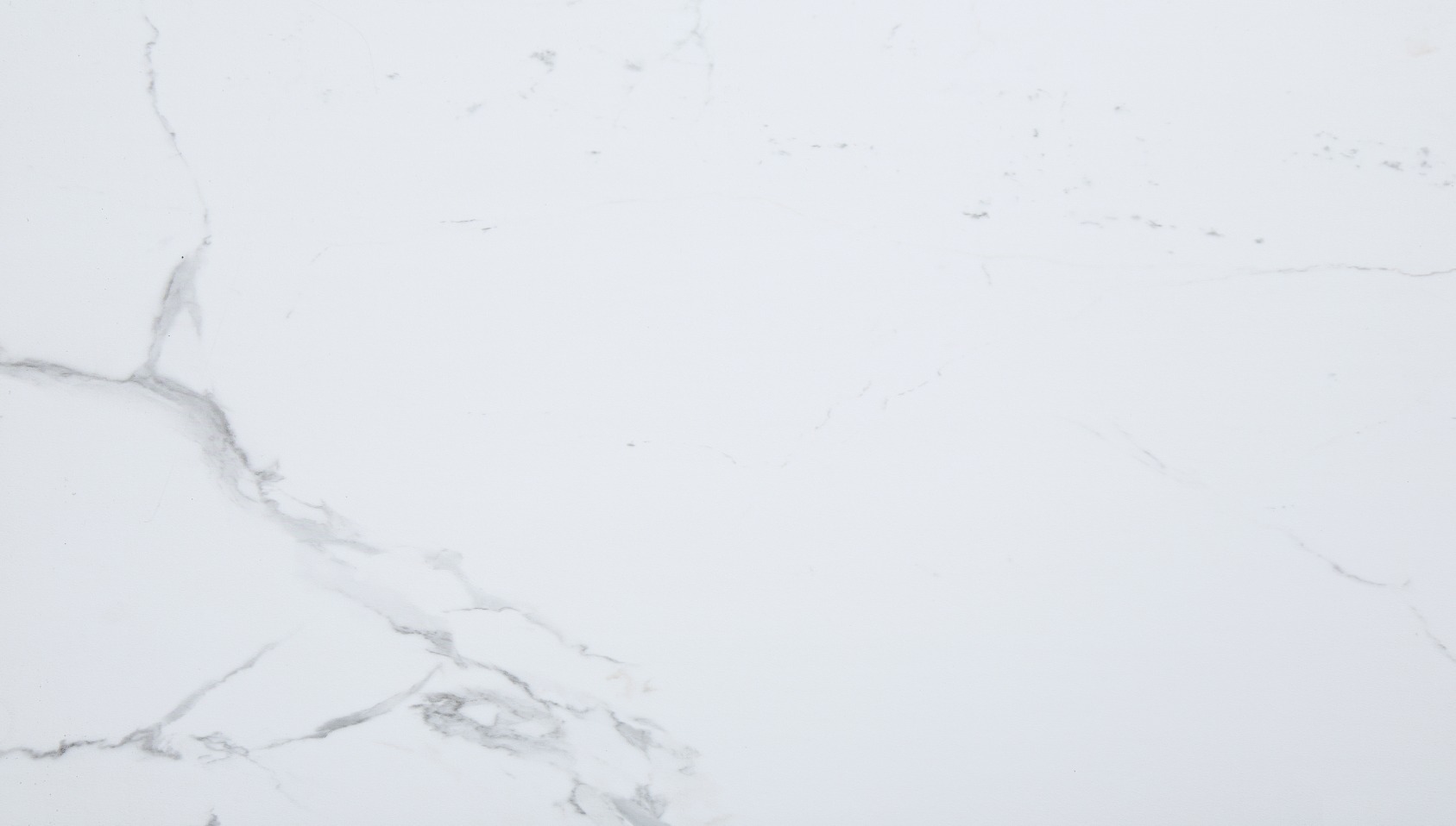 Carrara Marble Wall Tile 25x15 | Ren-Tile (Reinassance)