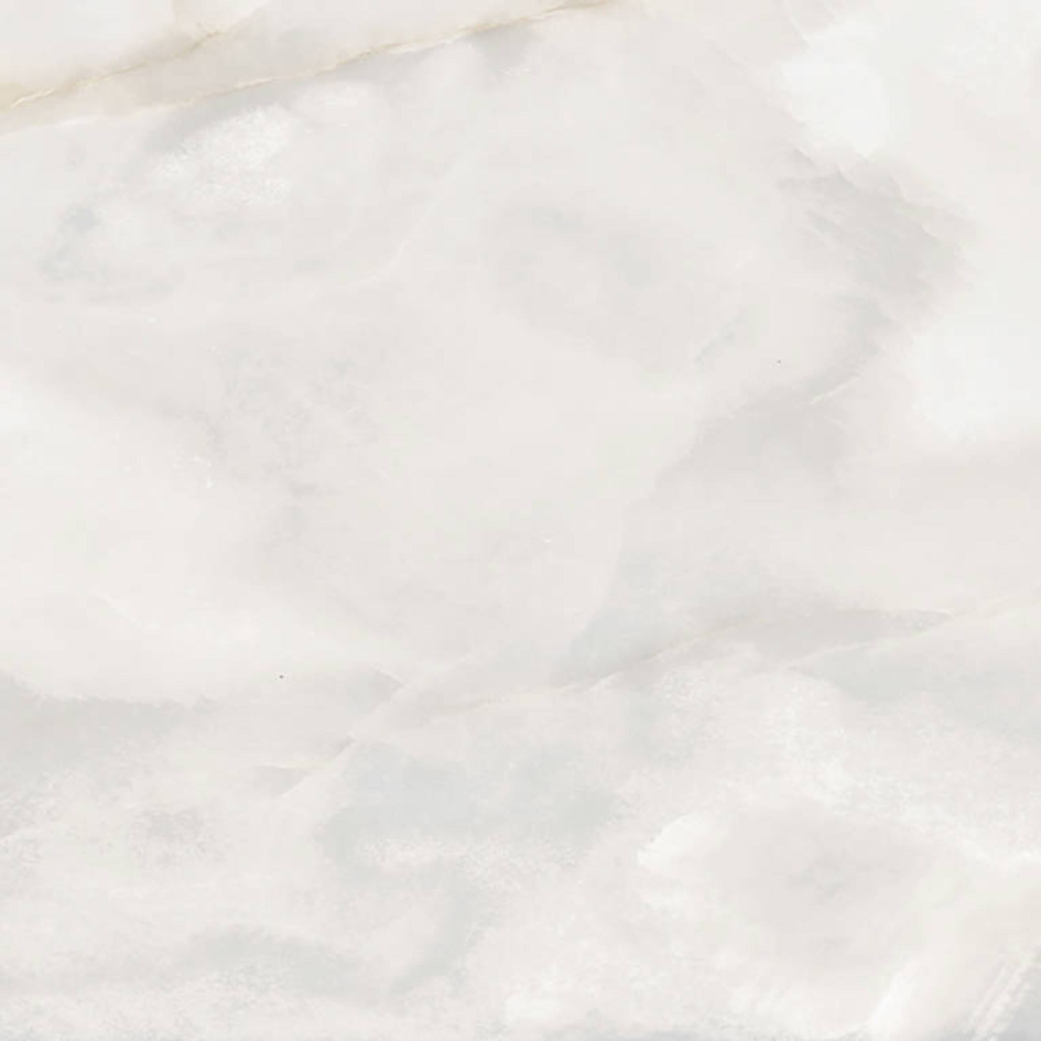Rendezvous White Matte 24x24 | Ren-Tile (Reinassance)