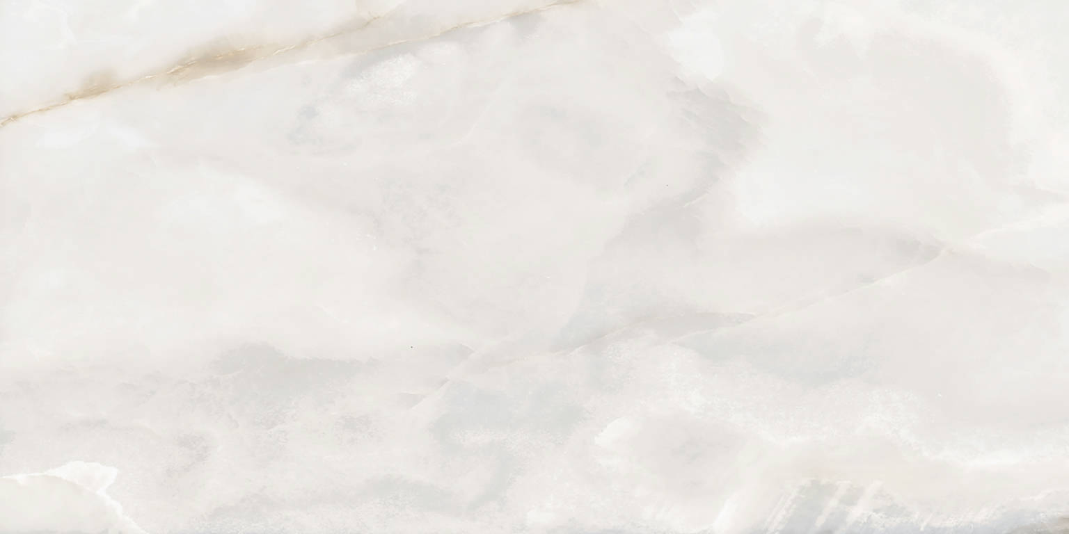 Rendezvous White Matte 24x48 | Ren-Tile (Reinassance)